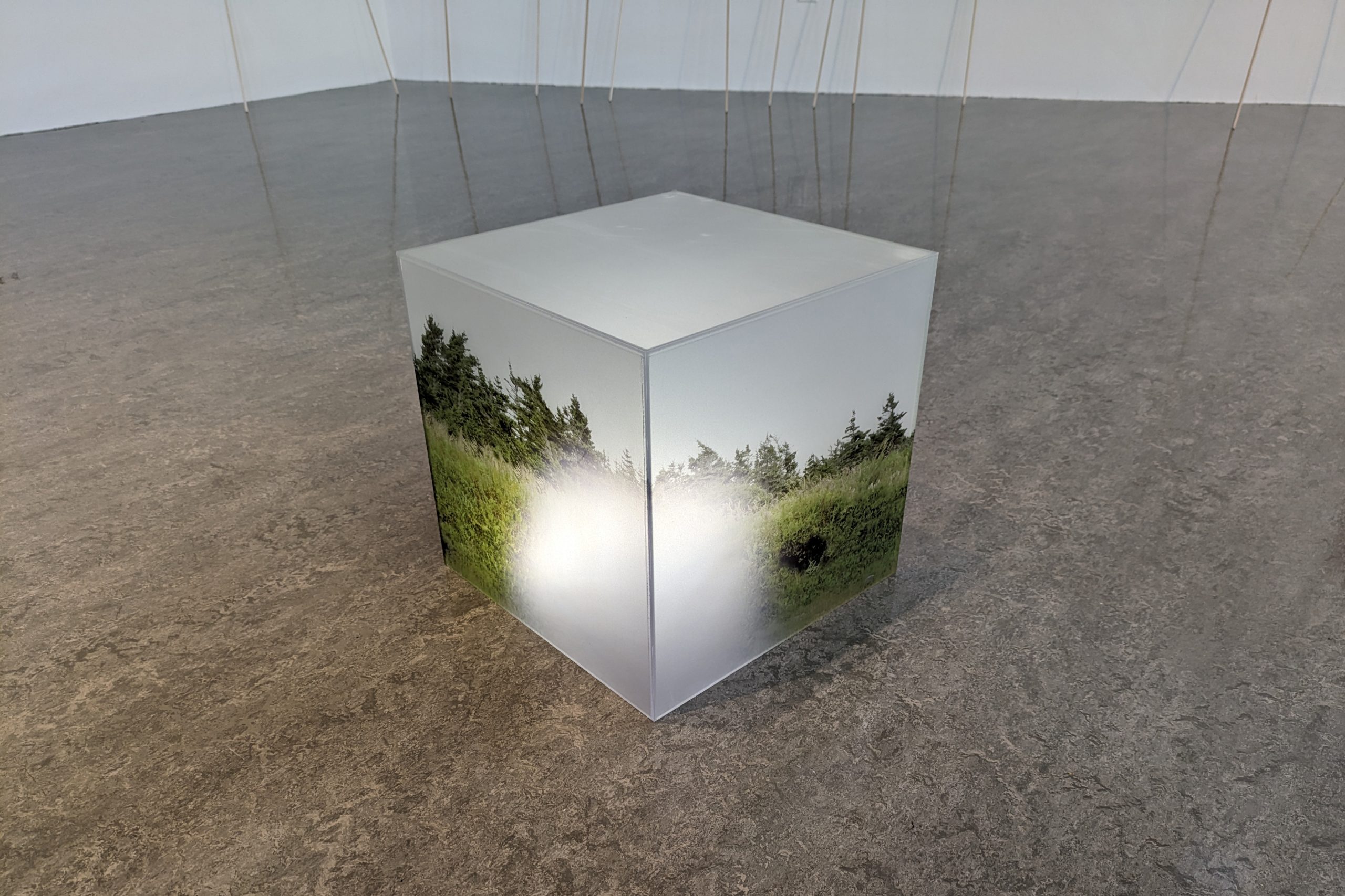 Magali Baribeau-Marchand