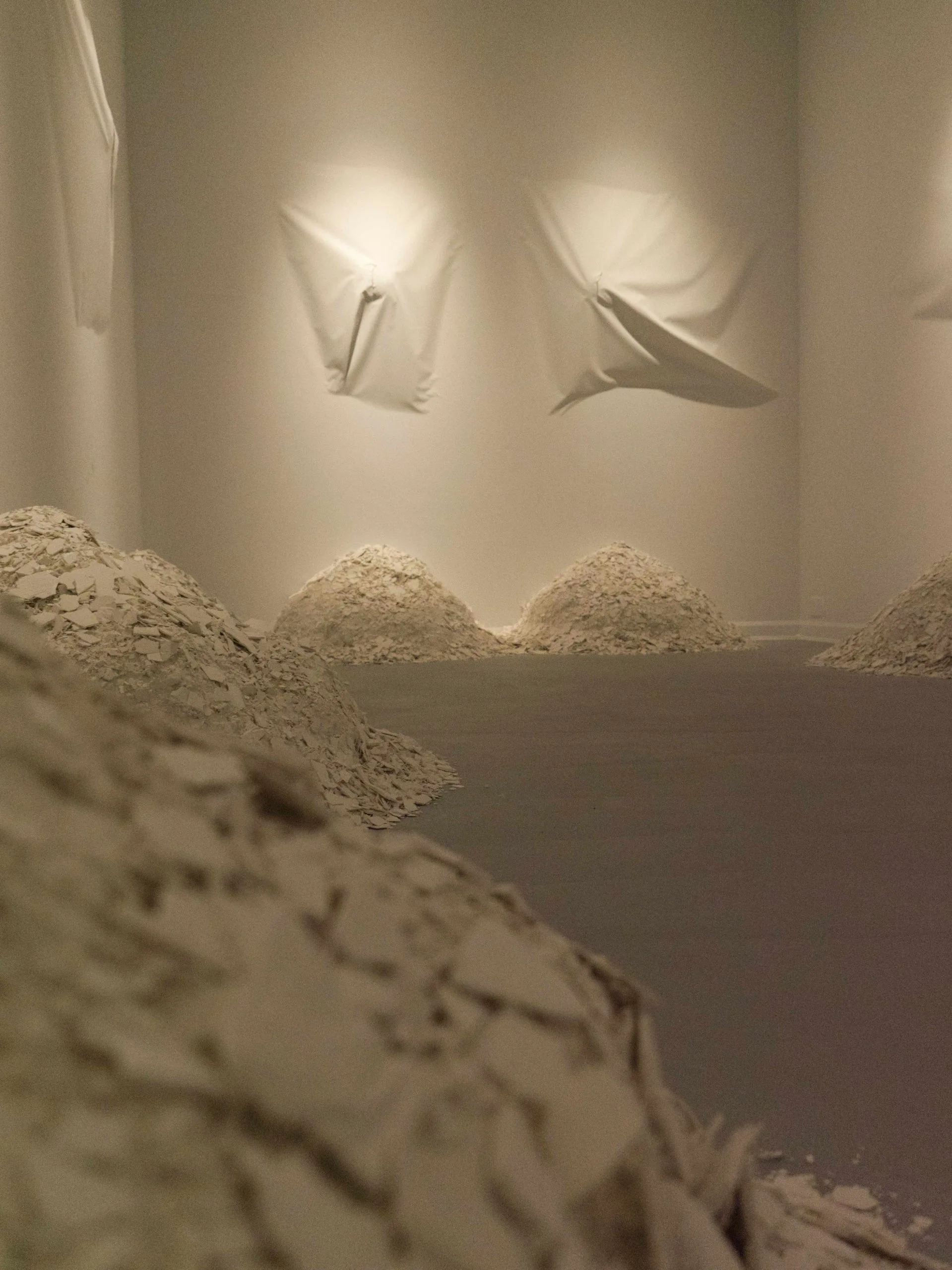 Exposition Obit Transmutation De L'artiste Caroline Fillion