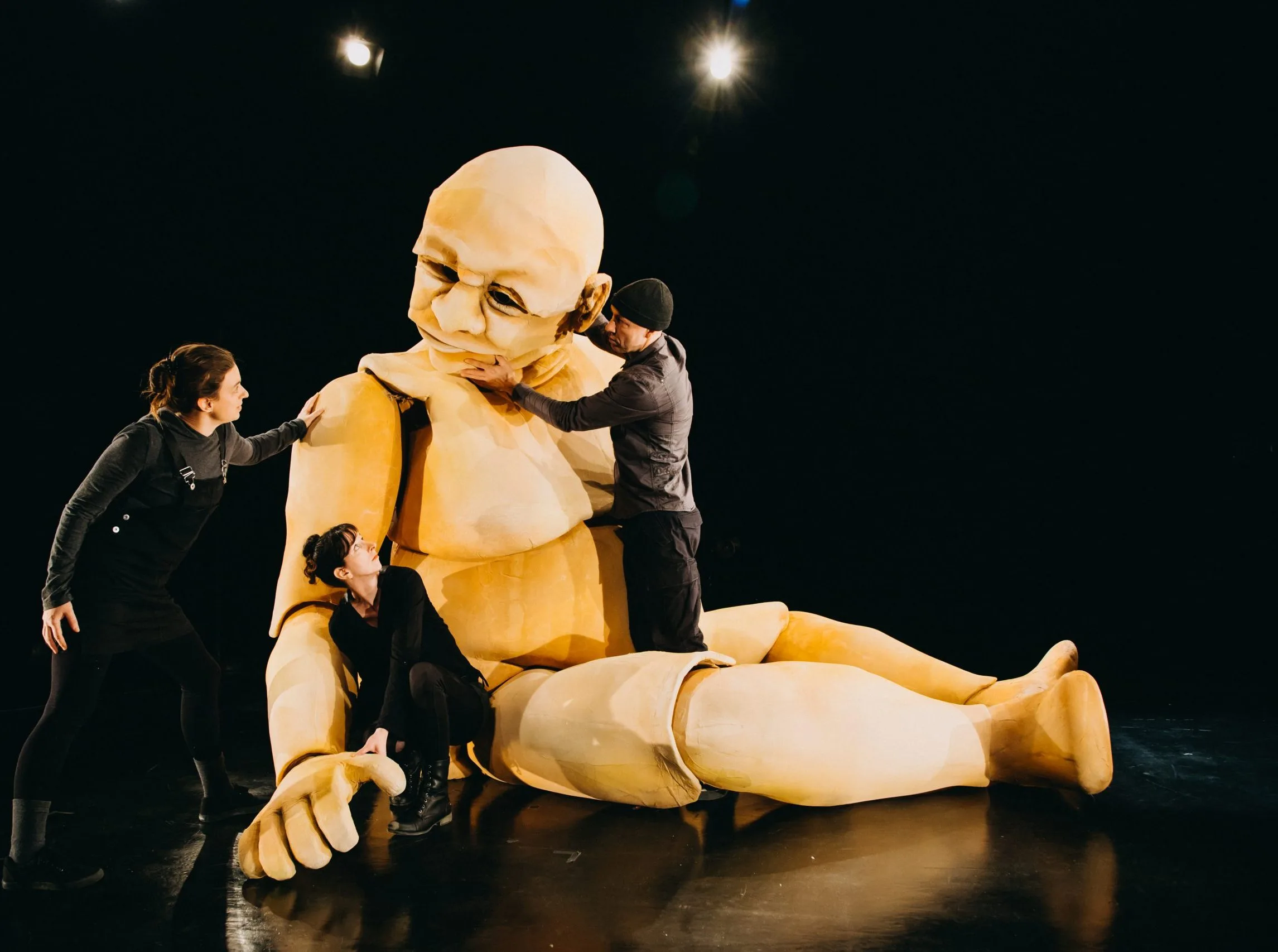 Théâtre la Tortue noire